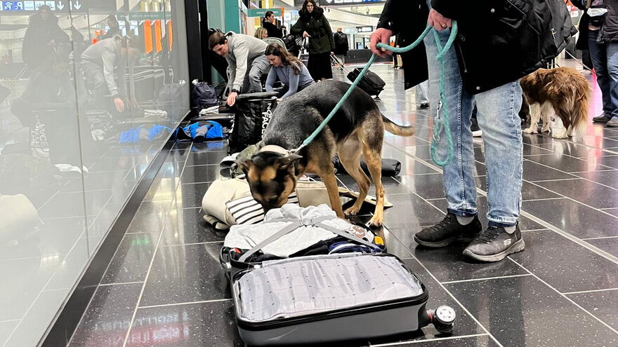 Kofferabsuche am Flughafen