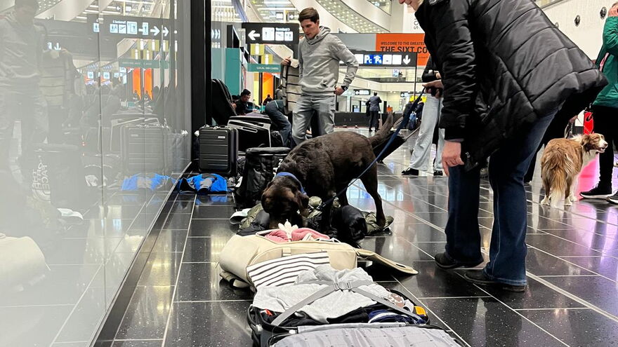 Kofferabsuche am Flughafen