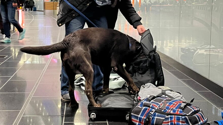 Kofferabsuche am Flughafen