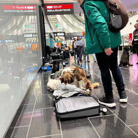 Kofferabsuche am Flughafen
