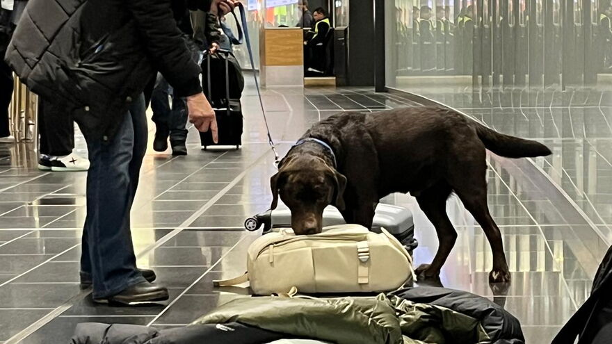 Kofferabsuche am Flughafen