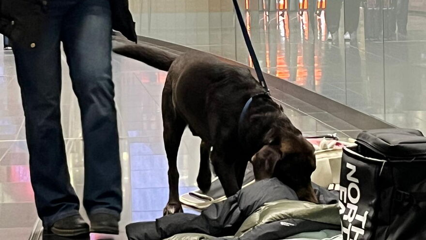 Kofferabsuche am Flughafen