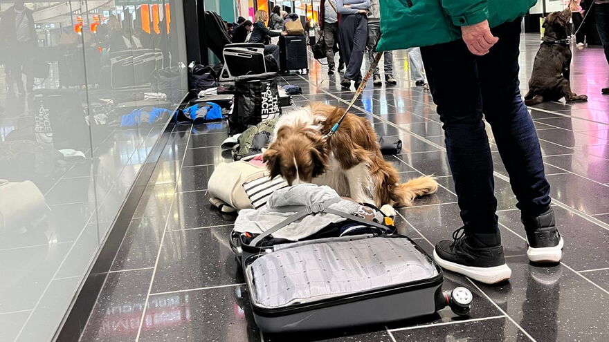 Kofferabsuche am Flughafen